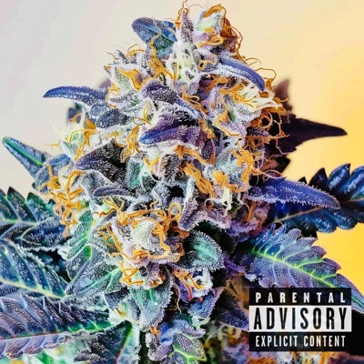 Blue Raspberry (feat. YpHoenxix & Dutch Richmond) - Single