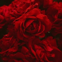 On Purpose - Single - Jaylon Ashaun