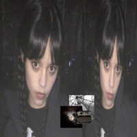 plugg till rich - Single - YG $cott