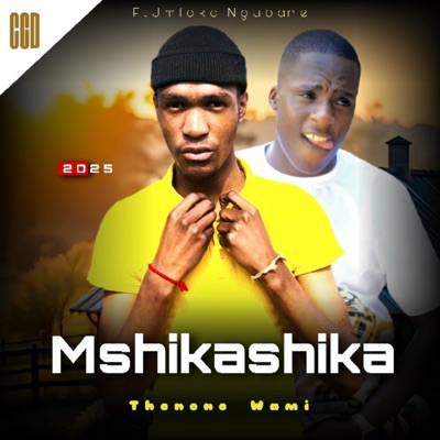 Thonono Wami (feat. MfokaNgubane) - Single