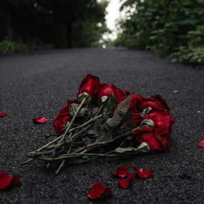 aus wir wird ich - Single