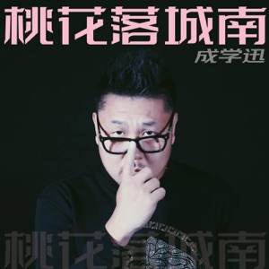 桃花落城南 - Single