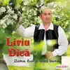 Liviu Dica - Hai cu sarba olteneasca
