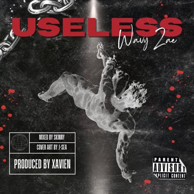 Useless - Single