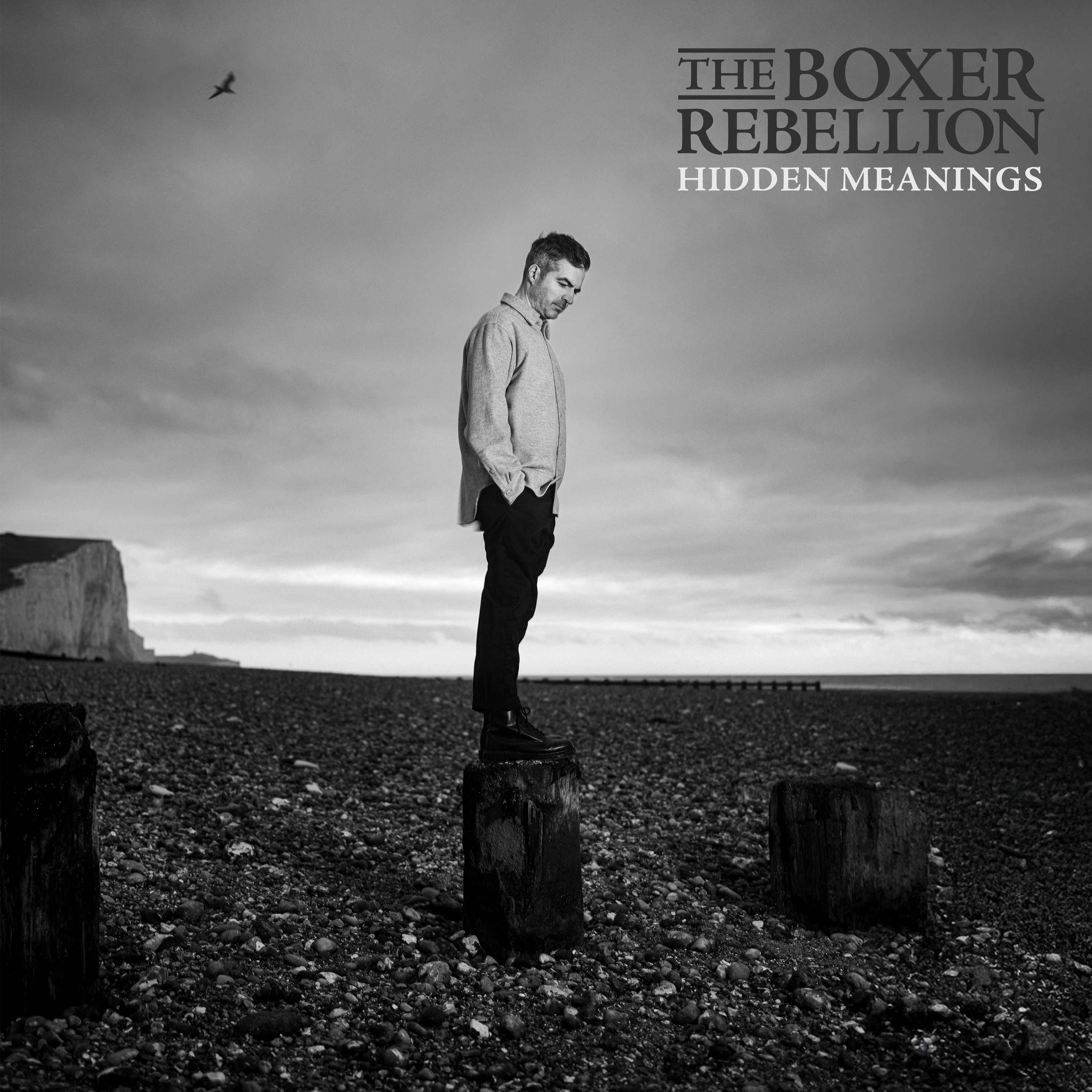 Hidden Meanings - Single