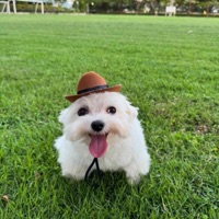 cuz im rich - Single - King_Zepp