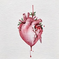 לב מדמם - Single - Eitam Ben Yaakov