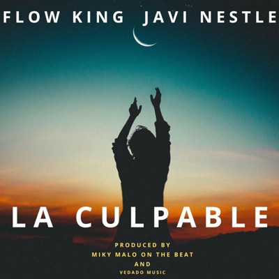 La Culpable (feat. Javi Nestle & Miky Malo On The Beat) - Single