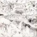 Uzumaki