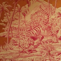 Zaki (feat. Stjärna) - Single - soenso & oligark