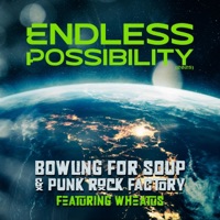 Endless Possibility (feat. Wheatus) - Single - Bowling for Soup & Punk Rock Factory