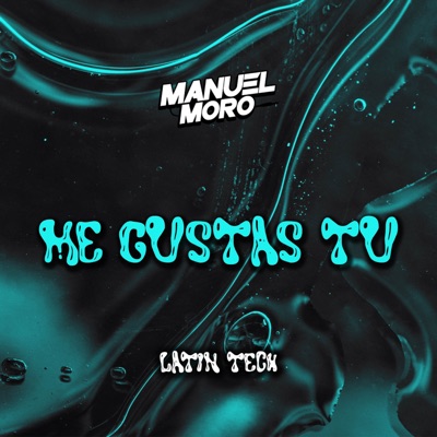 ME GUSTAS TU - Single