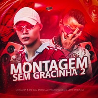 Montagem Sem Gracinha 2 (feat. DJ Mandrake 100% Original) - Single - DJ Luan PJ, MC SASA ZN & Mc Guel Sp