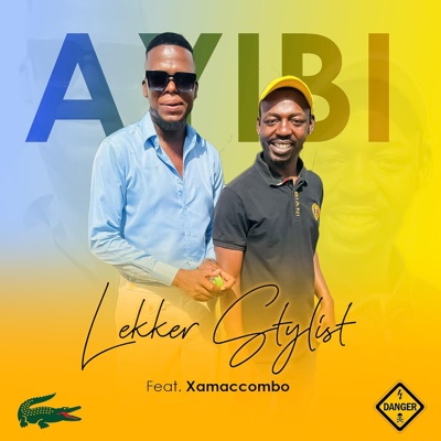 Ayibi? (feat. XamaCcombo & Salani The Producer) - Single