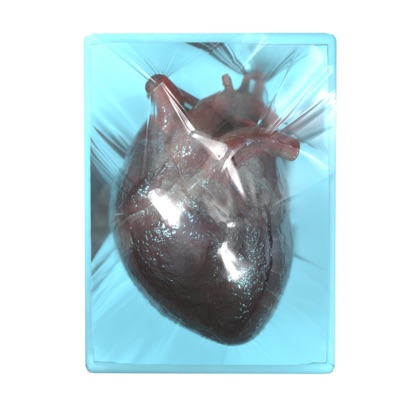 Burden of Body 3 - EP