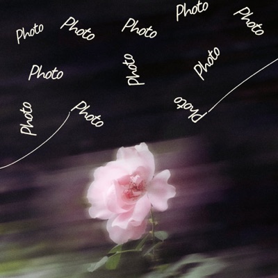 PHOTO (feat. Yalta Sound) - Single