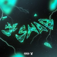 Ye Shab (feat. XXIV) - Single - VX & EXSIV