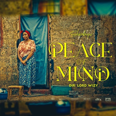 Peace Of Mind - Single