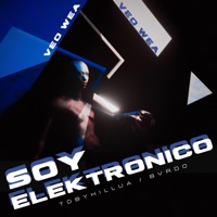 Soy elektronico - Single - B V R D O & TobyKillua