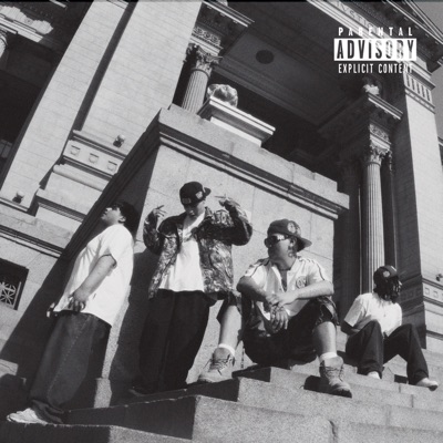 Stupid Lof Story (feat. Sloowtrack) - Single