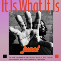 It Is What It Is (feat. JUNE!) - Single - Capt.Pigment