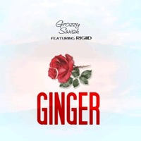 Ginger (feat. Ri Giid) - Single - Grozzy Swish