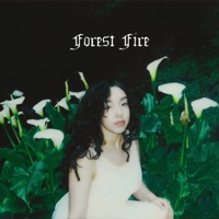 Forest Fire - Single - Angela Muñoz