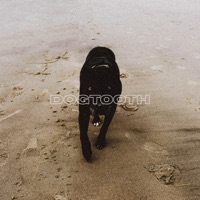 DOGTOOTH - Single - Trevor Poole