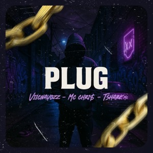 Plug