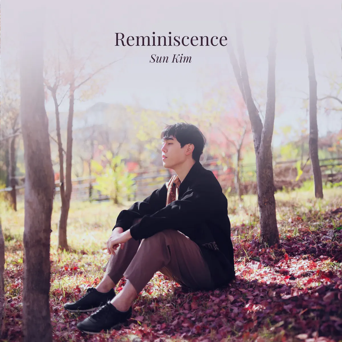 SUN KIM - Reminiscence - Single (2024) [iTunes Plus AAC M4A]-新房子