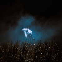 Czas się bać! (Akt III) - Single - Ania Leon & Arek Kopera