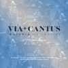 Gil Alma Alma Misionera (feat. Pablo Martinez, Agustina Baro Graf, Claudia Gil & Joaquin Chavez) Via Cantus Worship Collective Argentina