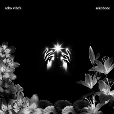 Seko Vibe’s - EP
