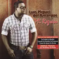 Mi Estrella — Luis Miguel Del Amargue
