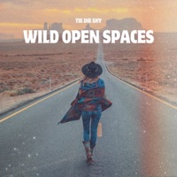 Wild Open Spaces (feat. Rachel Morgan Perry) - Single - Tie Die Sky
