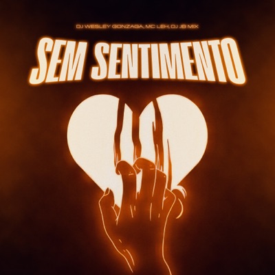 Sem Sentimento (feat. DJ JB Mix, Dj Wesley Gonzaga & Mc Leh) - Single
