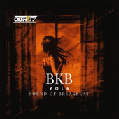 BKB, Vol. 4