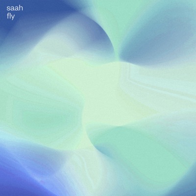 fly - EP