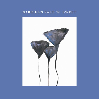 Gabriel's Salt 'n Sweet - Single