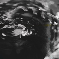 My Lover (feat. Kali Donn) - Single - Svnthltr
