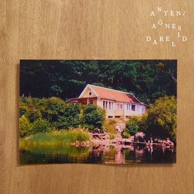 Anten - Single