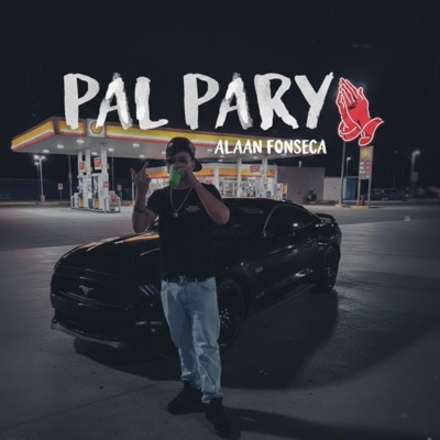 PAL PARY (Remix) - Single