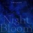 Night Bloom