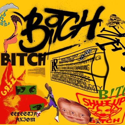 B!TCH - Single