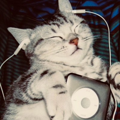 ill never be what you wanted - Single