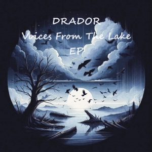 Voices From The Lake - Single