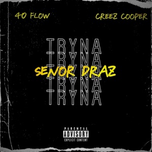 Tryna (40 Version)