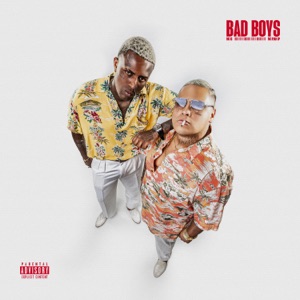 Bad Boys (feat. Mano Brown, DJ Glenner)