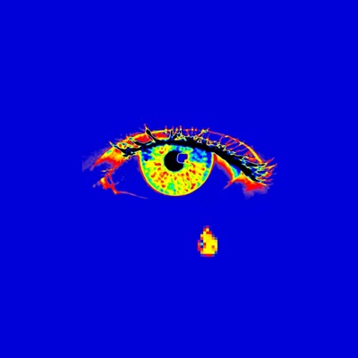 pensées naufrage - Single