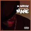 AL KAPEEZY the blues rap mane